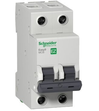 C60a 2p 20a 3ka C/b Schneider Circuit Breakers