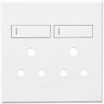 4x4 Double Socket Cover Plate VETI Plugs and Switches