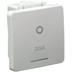 20A 2P SW 2 MOD NO LOCATOR